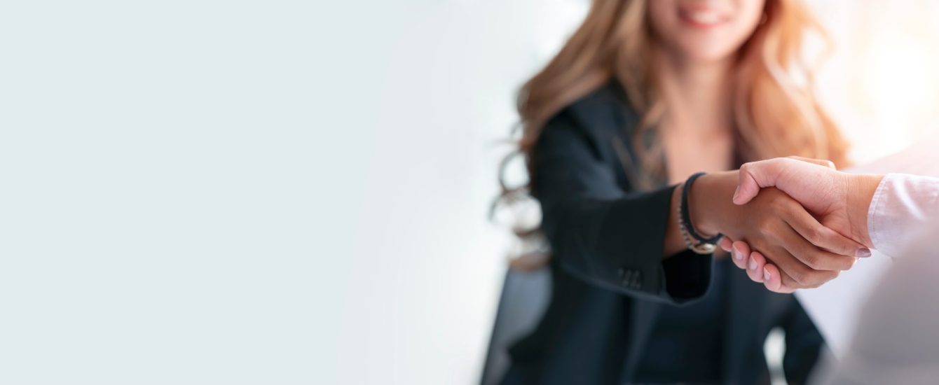 Businesswoman handshake and business people. Successful business Businesswoman handshake and business people. Successful business