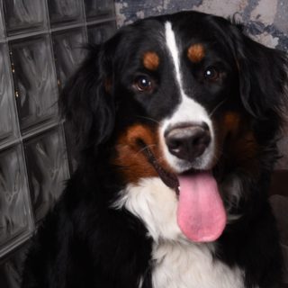 Charly